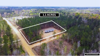 400 Southside Dr in Lyons, GA - Building Photo