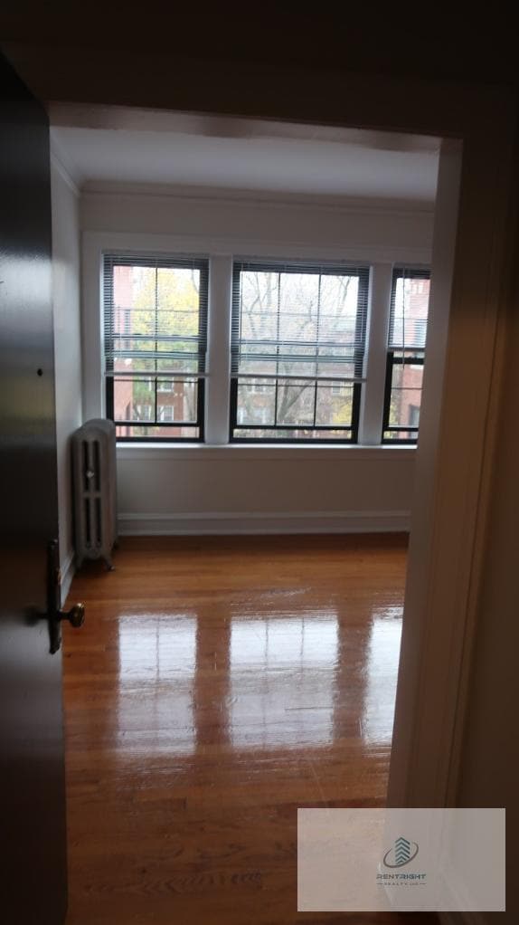 1712 W Albion Ave in Chicago, IL - Foto de edificio - Building Photo