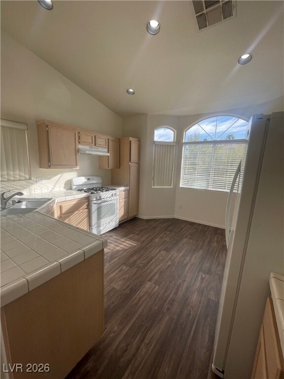 9020 Valley of Fire Ave in Las Vegas, NV - Building Photo - Building Photo