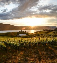 Westmin 795 in Penticton, BC - Building Photo - Building Photo