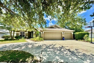 16934 Melissa Ann Dr in Lutz, FL - Building Photo - Building Photo