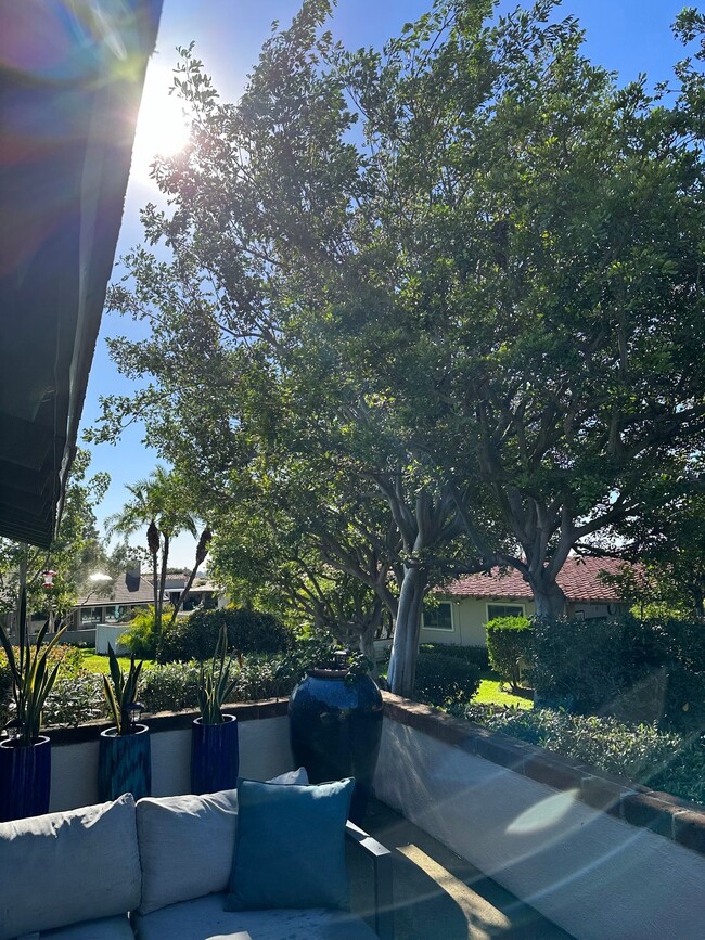 property at 303 Esplanade