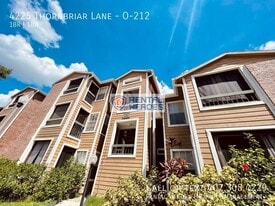 4225 Thornbriar Ln in Orlando, FL - Building Photo