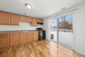 Lakes Apartments in Chicago, IL - Building Photo - Building Photo