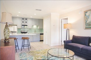 Renaissance Apartments at Capital Circle in Tallahassee, FL - Building Photo