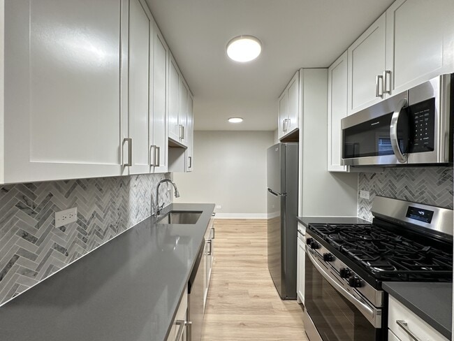 531 W Aldine Ave, Unit R01A in Chicago, IL - Foto de edificio - Building Photo