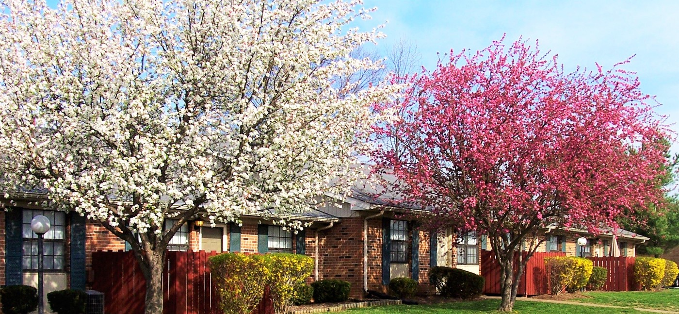 Stones River Apartments in Murfreesboro, TN - Building Photo