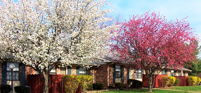 Stones River Apartments