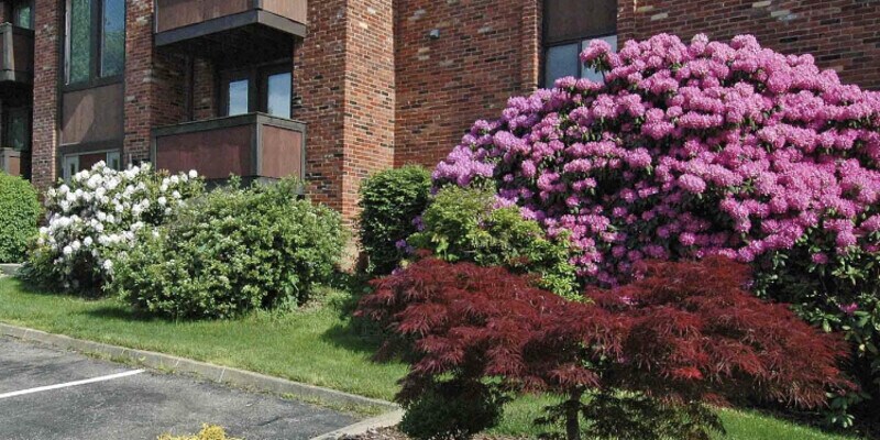 1270 Highfield Ct Photo