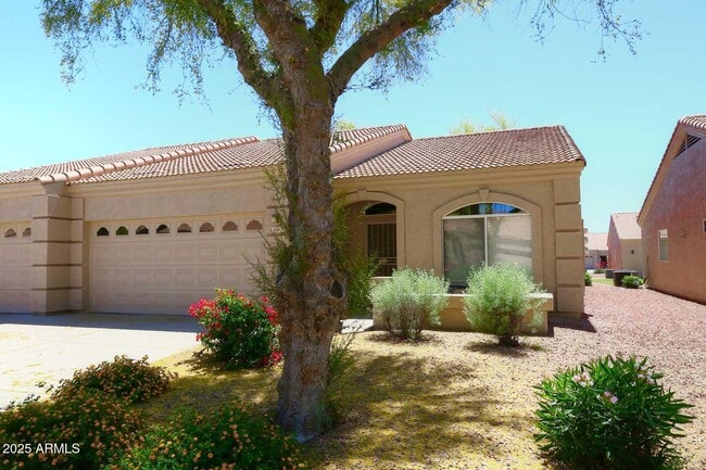 2101 S Yellow Wood in Mesa, AZ - Foto de edificio - Building Photo