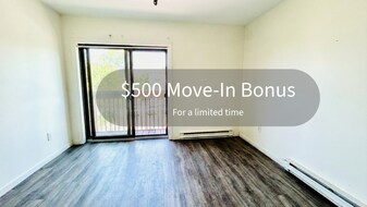 37 S Williams St in Burlington, VT - Building Photo