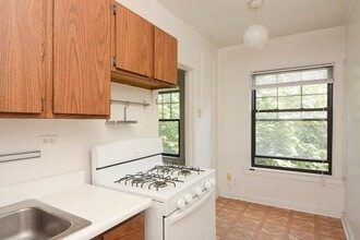 3011 N Racine Ave in Chicago, IL - Building Photo - Building Photo