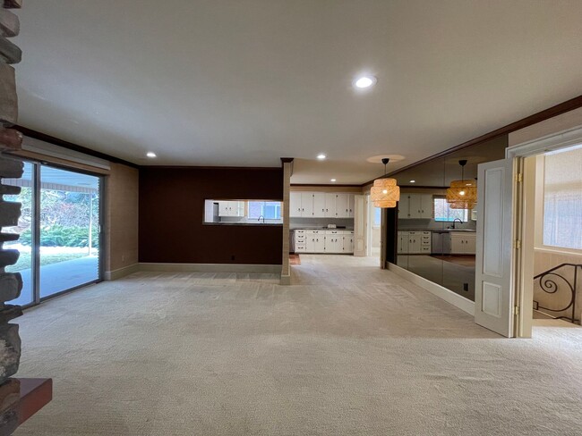 1124 N Birch Ln in Provo, UT - Building Photo - Building Photo