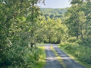 5451 River Rd in Arlington, VT - Building Photo - Building Photo