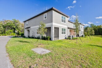17504 Nectar Flume Dr in Land O Lakes, FL - Building Photo - Building Photo