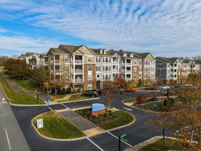 The Reserve at Belvedere in Charlottesville, VA - Foto de edificio - Building Photo