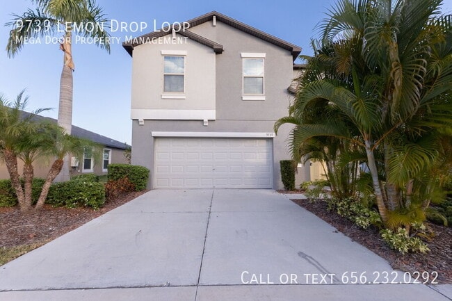 property at 9739 Lemon Drop Lp