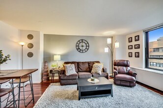 222 E Pearson St in Chicago, IL - Building Photo - Building Photo