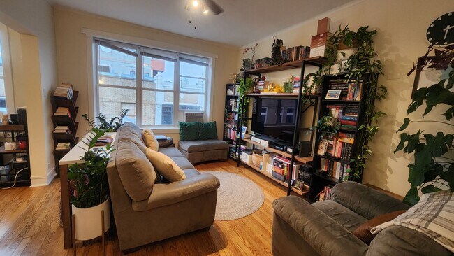 802 N Bishop St, Unit 3B in Chicago, IL - Building Photo - Building Photo