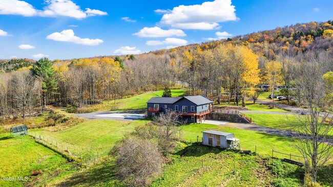 217 Meade Rd in Charlotteville, NY - Building Photo - Building Photo