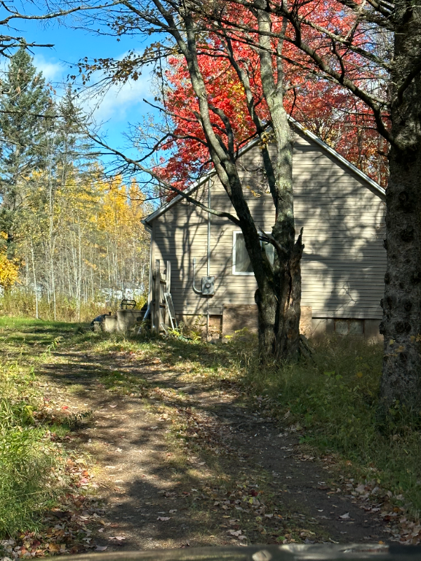 4 Pantsar Rd in Esko, MN - Building Photo - Building Photo