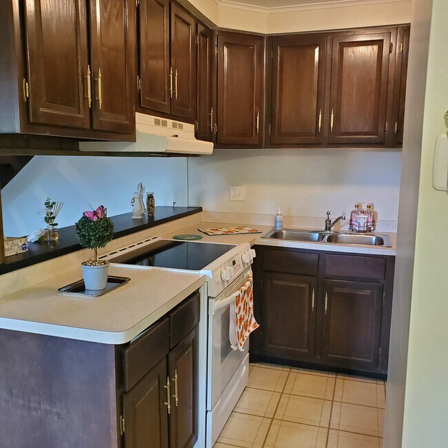 7297 Trotter Ln in Mentor, OH - Foto de edificio - Building Photo