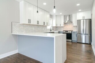 119 S Pine St in Mount Prospect, IL - Building Photo - Building Photo