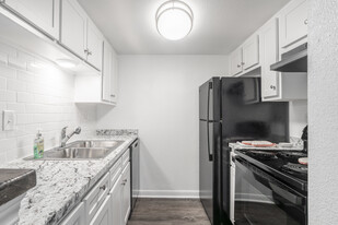 The Nathaniel Apartments in Houston, TX - Building Photo - Interior Photo