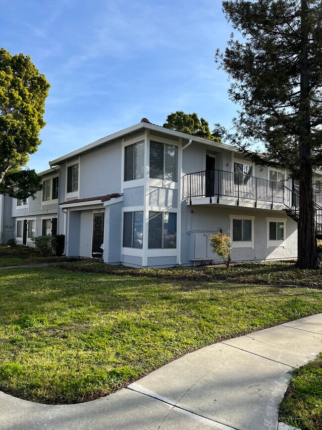 5042 Bridgepointe Pl Rentals in Union City, CA