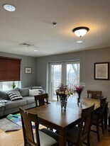 99 Chestnut Hill Ave, Unit 208 in Boston, MA - Building Photo