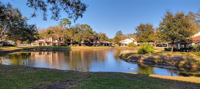 property at 3505 Tarpon Woods Blvd