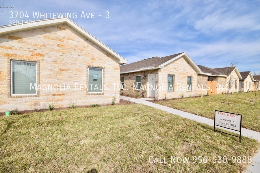 3704 Whitewing Ave in Edinburg, TX - Building Photo