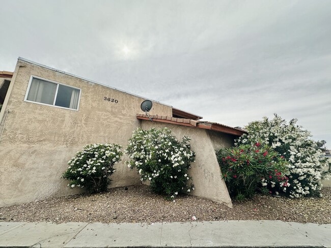 property at 3620 Ala Dr