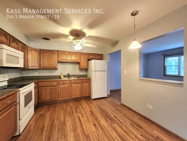 244 S Marion St in Oak Park, IL - Building Photo - Building Photo