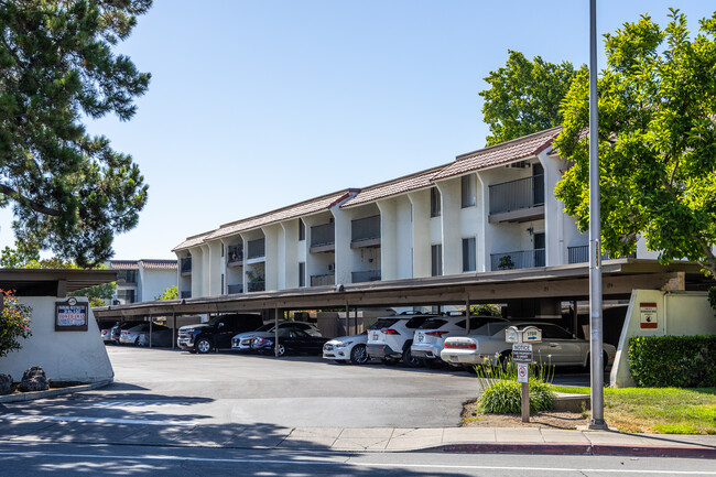 Las Brisas in Santa Clara, CA - Foto de edificio - Building Photo