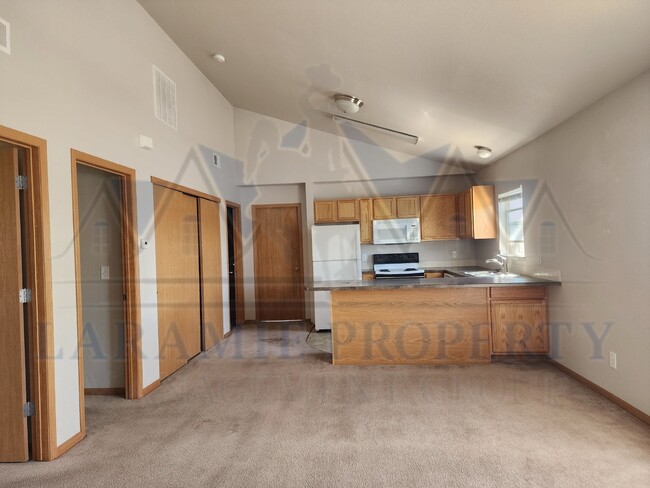 517 Mitchell St in Laramie, WY - Building Photo - Building Photo