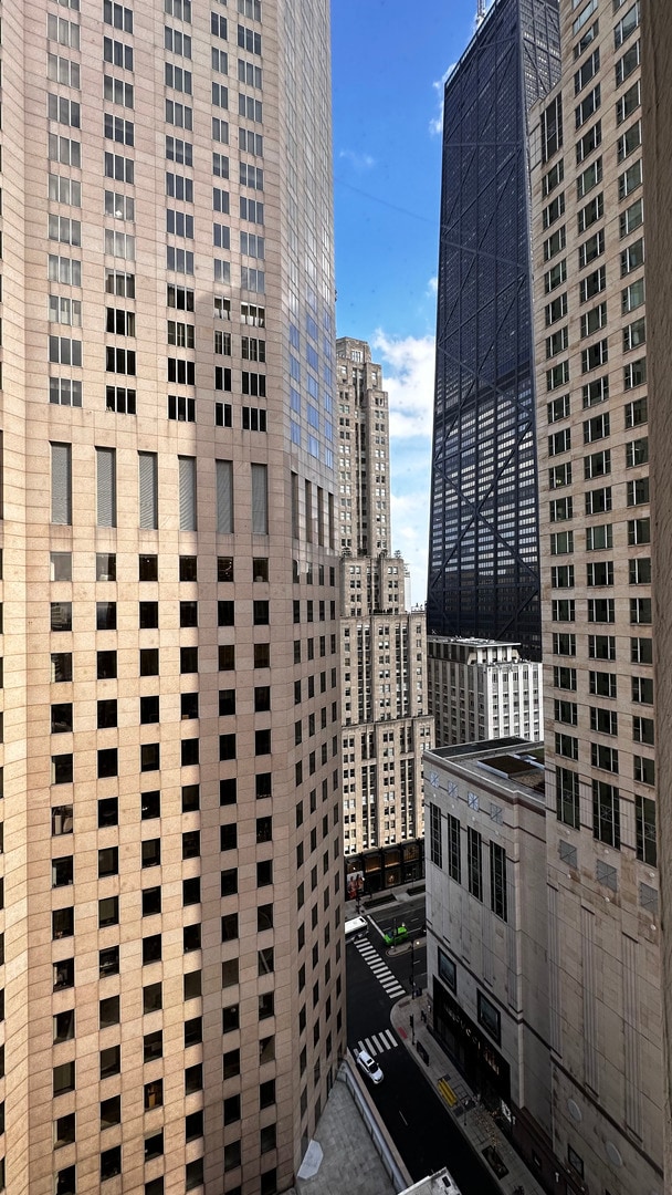 100 E Walton St in Chicago, IL - Building Photo - Building Photo