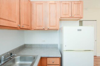 1742 N Humboldt Blvd in Chicago, IL - Building Photo - Building Photo