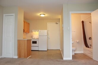 St. George's Court in St John's, NL - Building Photo - Building Photo