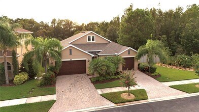 32331 Firemoss Ln in Wesley Chapel, FL - Building Photo - Building Photo