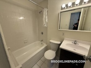 185 Freeman St, Unit 353 in Brookline, MA - Building Photo - Building Photo