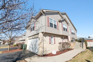 6840 Oak View Ct in Oak Forest, IL - Building Photo