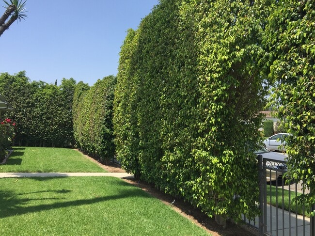 263 N Florence St in Burbank, CA - Building Photo - Building Photo