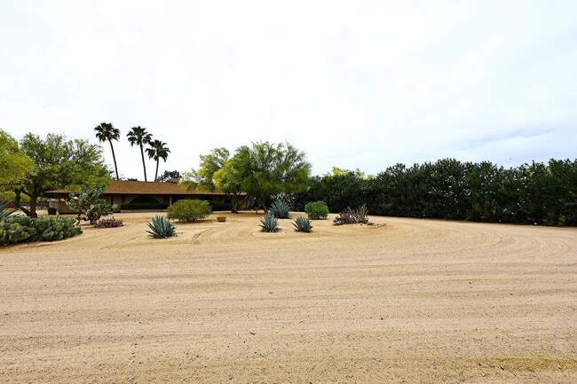 29234 N 53rd St in Cave Creek, AZ - Building Photo - Building Photo