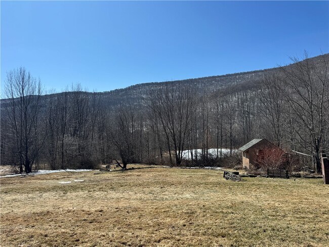 228 Staab Rd in Roxbury, NY - Building Photo - Building Photo