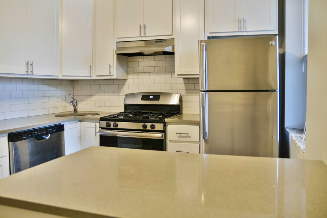 1460 W Grace St, Unit 1 in Chicago, IL - Building Photo