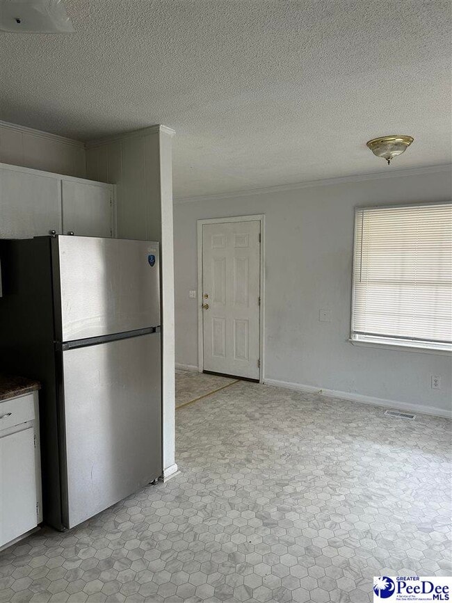 713 Georgetown St in Marion, SC - Building Photo - Building Photo