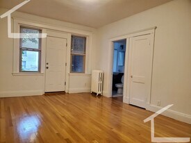 255 Kelton St in Boston, MA - Building Photo