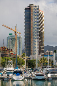 'A'ali'i in Honolulu, HI - Building Photo - Building Photo