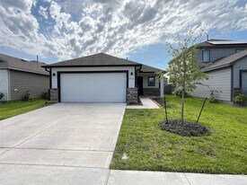 10526 Vinca Minor Ln in Houston, TX - Building Photo